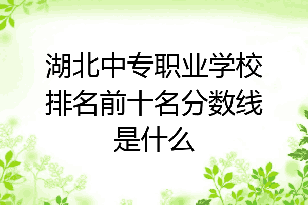湖北中专职业学校排名前十名分数线是什么