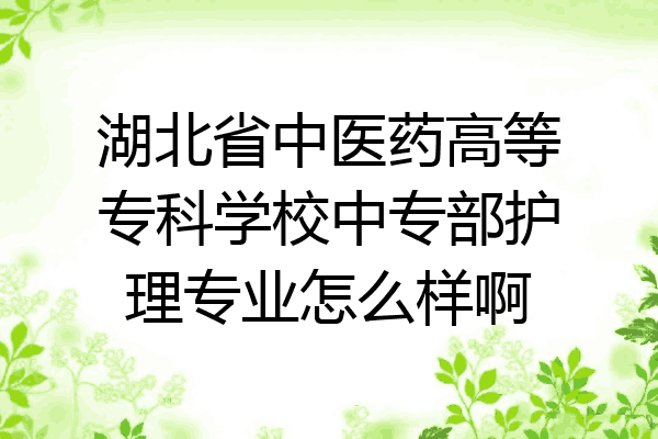 湖北省中医药高等专科学校中专部护理专业怎么样啊