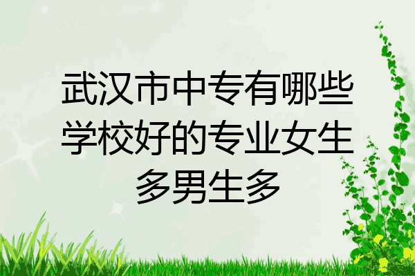 武汉市中专有哪些学校好的专业女生多男生多