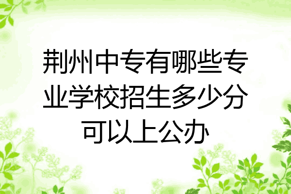 荆州中专有哪些专业学校招生多少分可以上公办