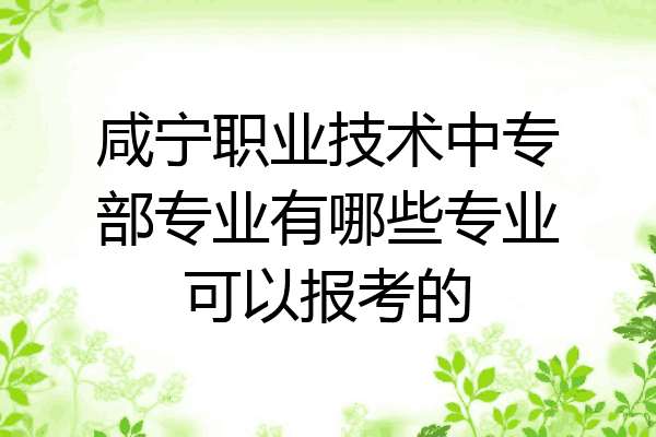 咸宁职业技术中专部专业有哪些专业可以报考的