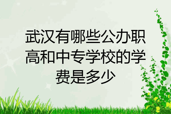 武汉有哪些公办职高和中专学校的学费是多少