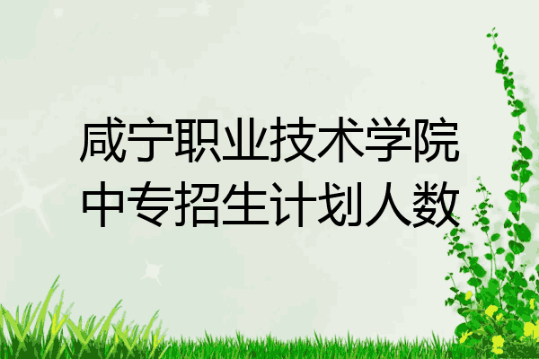咸宁职业技术学院中专招生计划人数