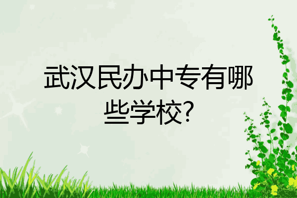 武汉民办中专有哪些学校?