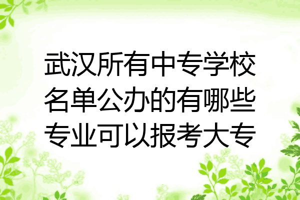 武汉所有中专学校名单公办的有哪些专业可以报考大专