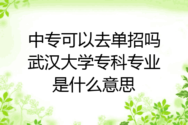 中专可以去单招吗武汉大学专科专业是什么意思