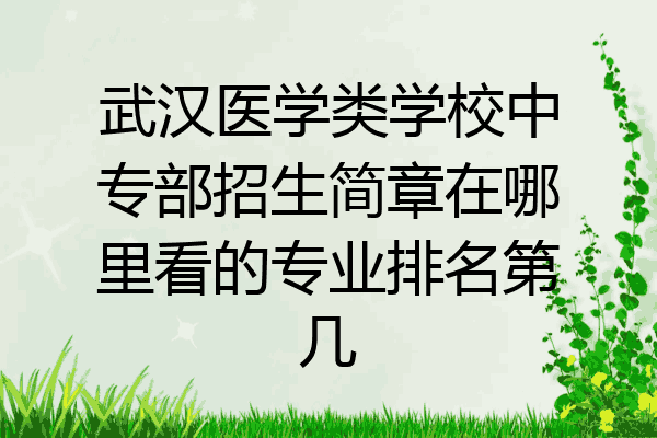 武汉医学类学校中专部招生简章在哪里看的专业排名第几