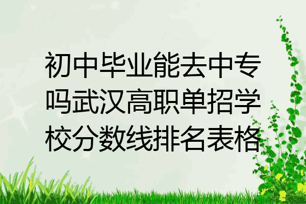初中毕业能去中专吗武汉高职单招学校分数线排名表格