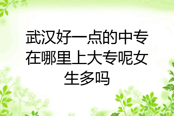 武汉好一点的中专在哪里上大专呢女生多吗