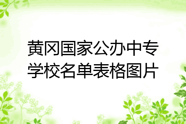 黄冈国家公办中专学校名单表格图片