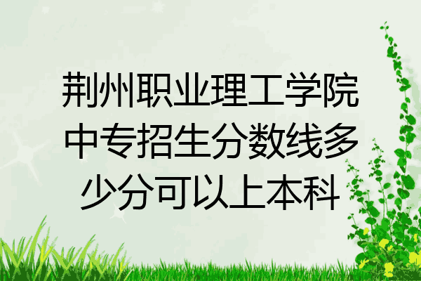 荆州职业理工学院中专招生分数线多少分可以上本科