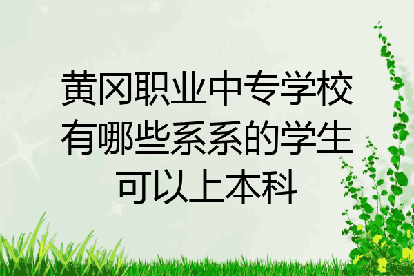 黄冈职业中专学校有哪些系系的学生可以上本科