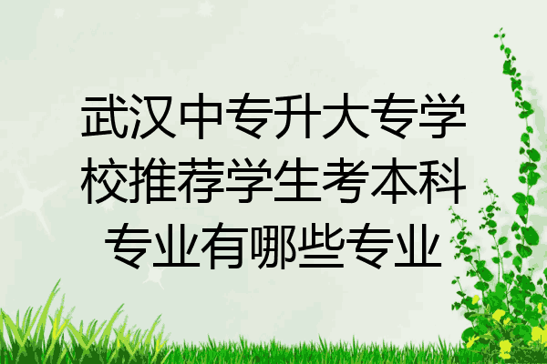 武汉中专升大专学校推荐学生考本科专业有哪些专业