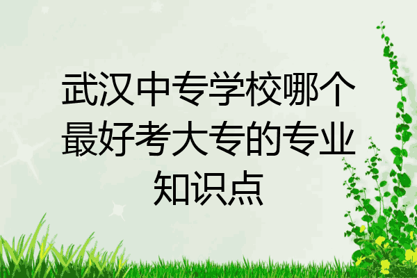 武汉中专学校哪个最好考大专的专业知识点