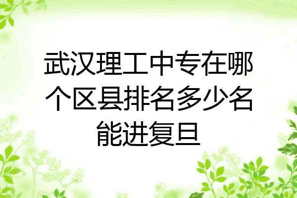 武汉理工中专在哪个区县排名多少名能进复旦