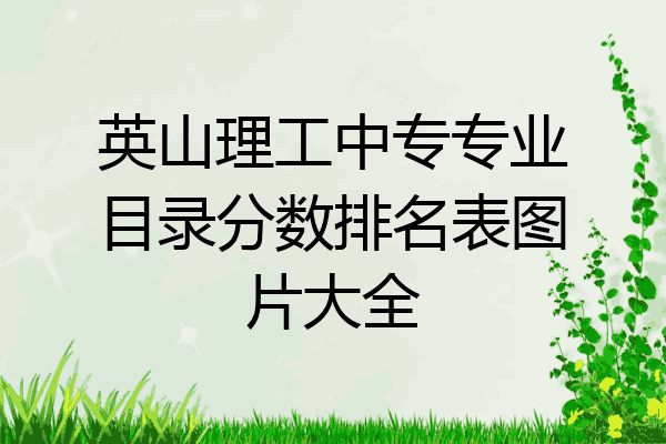 英山理工中专专业目录分数排名表图片大全