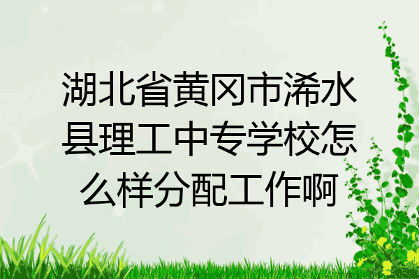 湖北省黄冈市浠水县理工中专学校怎么样分配工作啊