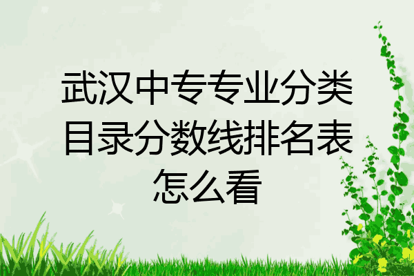 武汉中专专业分类目录分数线排名表怎么看