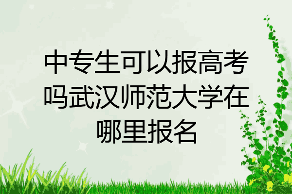 中专生可以报高考吗武汉师范大学在哪里报名