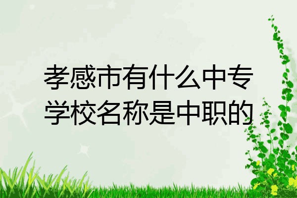 孝感市有什么中专学校名称是中职的