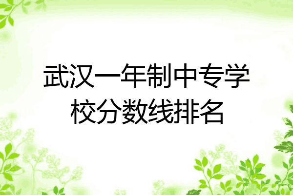 武汉一年制中专学校分数线排名