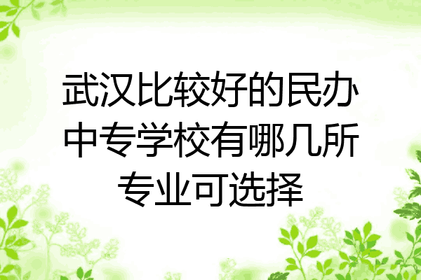 武汉比较好的民办中专学校有哪几所专业可选择