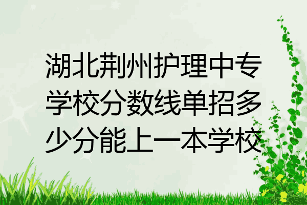 湖北荆州护理中专学校分数线单招多少分能上一本学校
