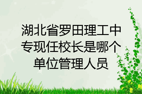湖北省罗田理工中专现任校长是哪个单位管理人员