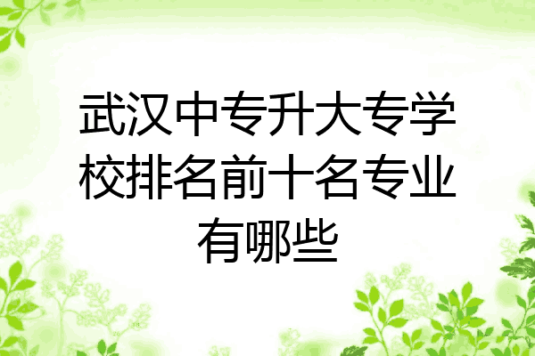 武汉中专升大专学校排名前十名专业有哪些