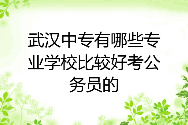武汉中专有哪些专业学校比较好考公务员的