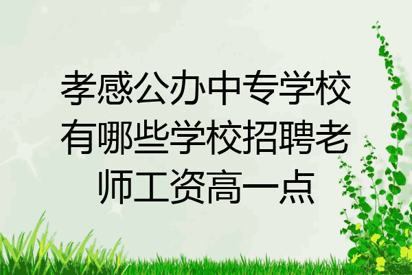 孝感公办中专学校有哪些学校招聘老师工资高一点