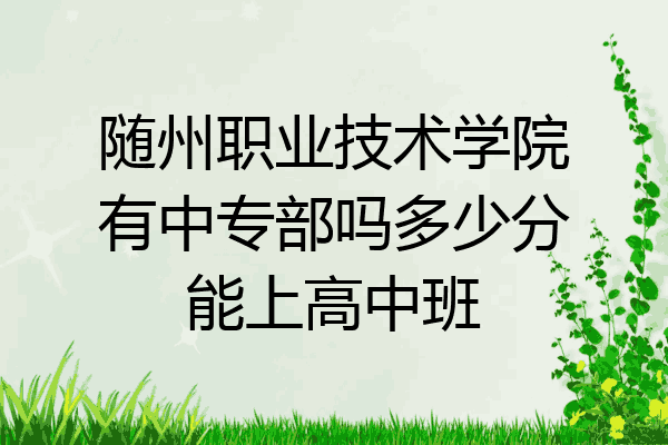 随州职业技术学院有中专部吗多少分能上高中班