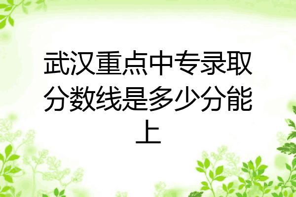 武汉重点中专录取分数线是多少分能上
