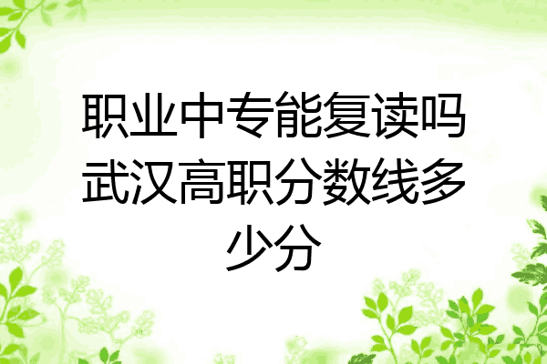 职业中专能复读吗武汉高职分数线多少分