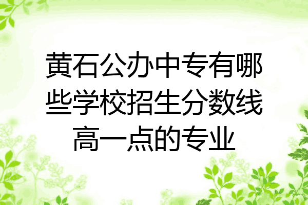黄石公办中专有哪些学校招生分数线高一点的专业