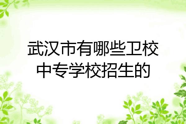 武汉市有哪些卫校中专学校招生的