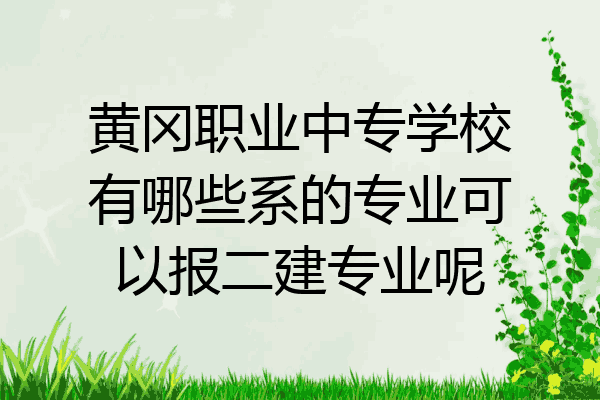 黄冈职业中专学校有哪些系的专业可以报二建专业呢