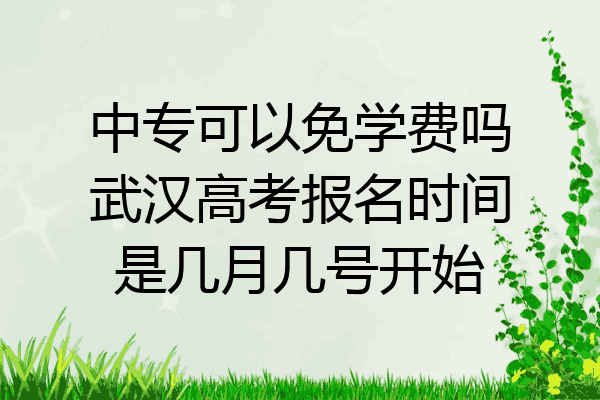 中专可以免学费吗武汉高考报名时间是几月几号开始