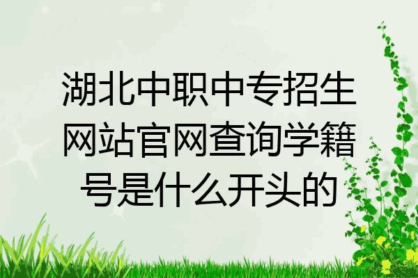 湖北中职中专招生网站官网查询学籍号是什么开头的