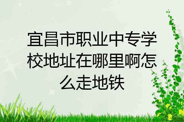 宜昌市职业中专学校地址在哪里啊怎么走地铁