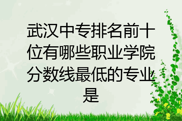 武汉中专排名前十位有哪些职业学院分数线最低的专业是