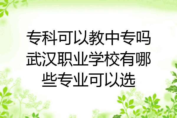 专科可以教中专吗武汉职业学校有哪些专业可以选
