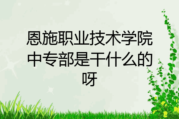 恩施职业技术学院中专部是干什么的呀