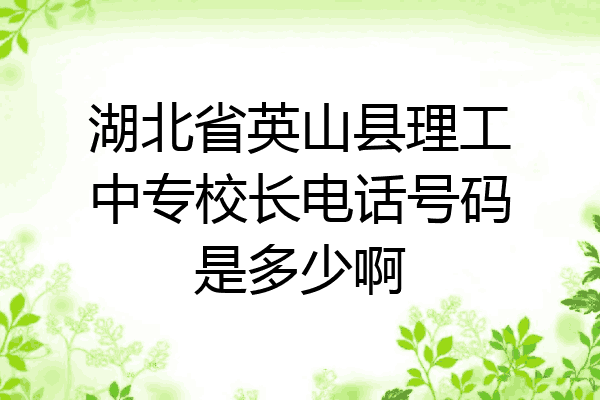 湖北省英山县理工中专校长电话号码是多少啊