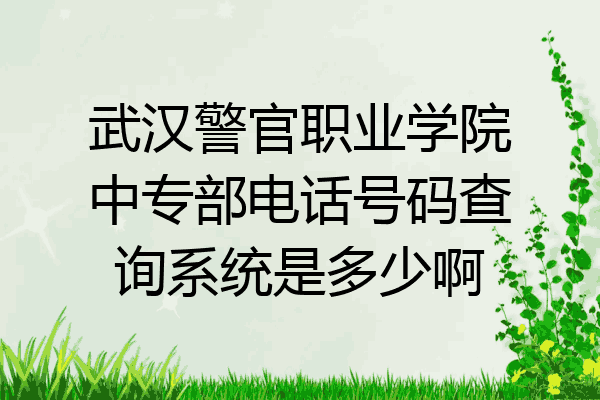 武汉警官职业学院中专部电话号码查询系统是多少啊