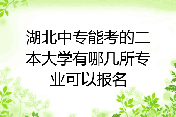 湖北中专能考的二本大学有哪几所专业可以报名