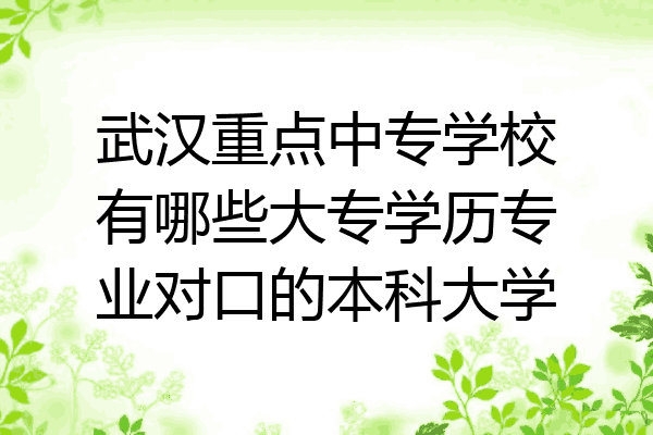 武汉重点中专学校有哪些大专学历专业对口的本科大学