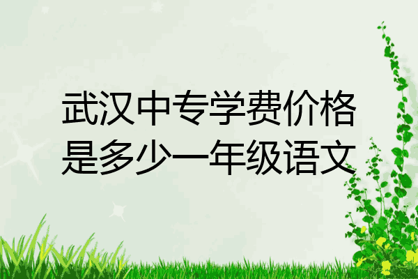 武汉中专学费价格是多少一年级语文
