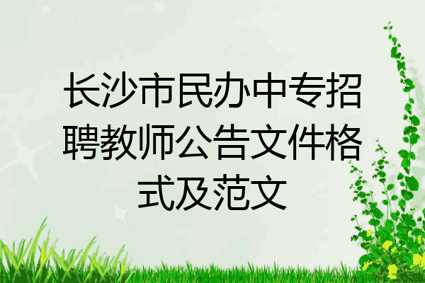 长沙市民办中专招聘教师公告文件格式及范文