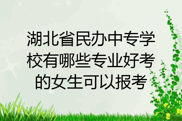 湖北省民办中专学校有哪些专业好考的女生可以报考